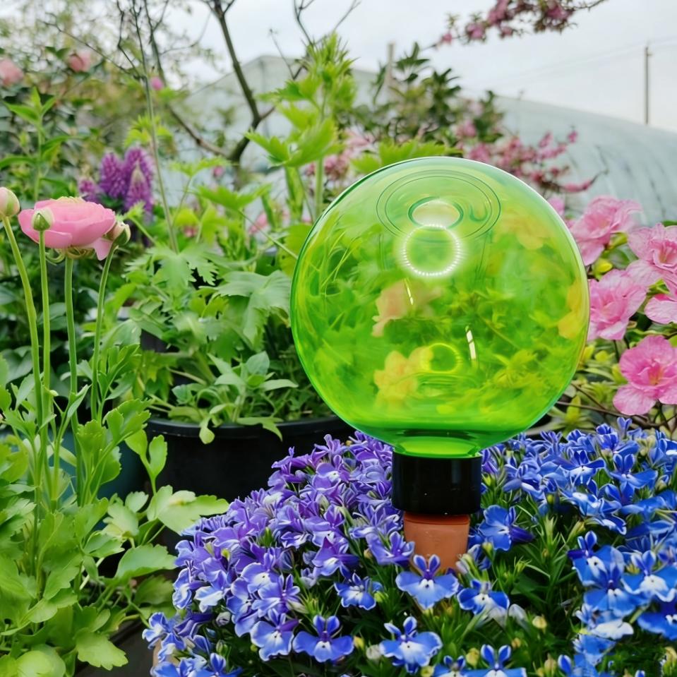 Self Watering Planter - 3 stuks grote planten zelfwatergevende globes,