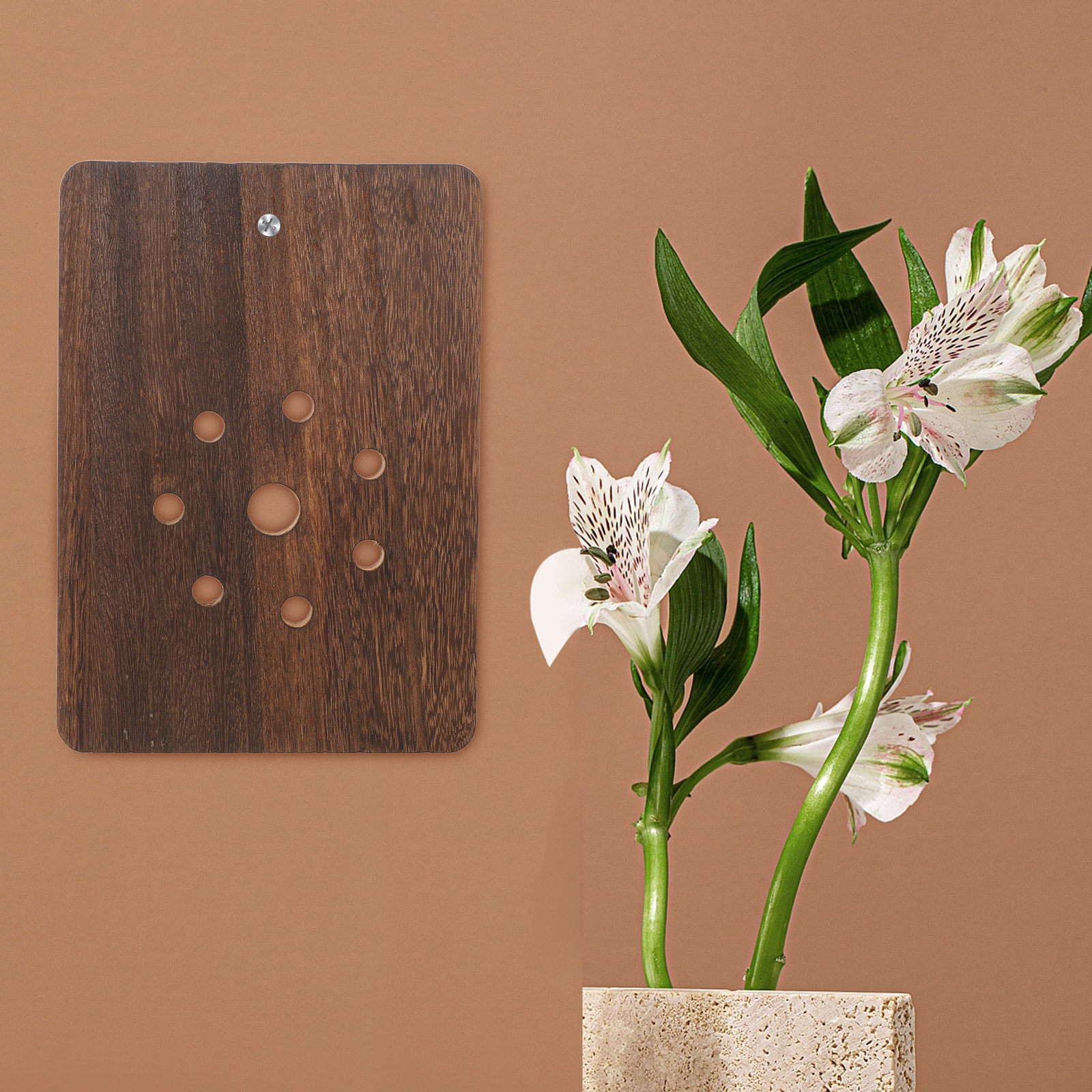 Vertical Planter - Bevestigingsbord voor hertenhorntandvaren, verticale tuin, displaypaneel,
