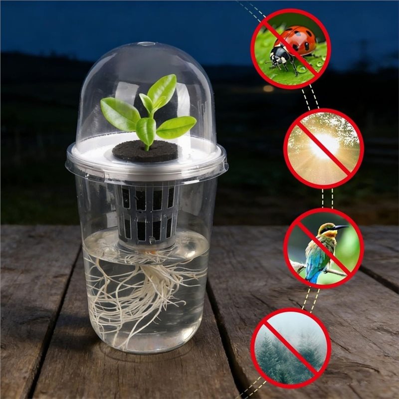 [A93Z!】 Hydroponische Zaailing - Hydroponic Kit recensie en prijs