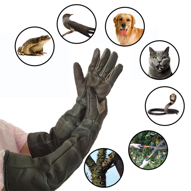 Huisdierenhandschoenen Koeienh - Garden Gloves recensie en prijs