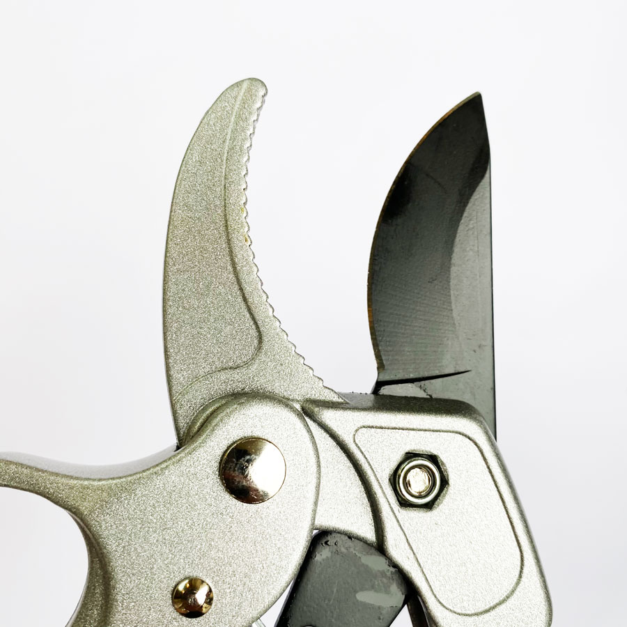 Professionele ratel snoeischaa - Pruning Shears recensie en prijs