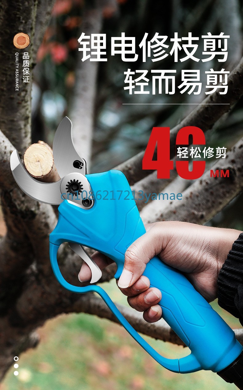 Lithiumbatterij Rugzak Elektri - Pruning Shears recensie en prijs