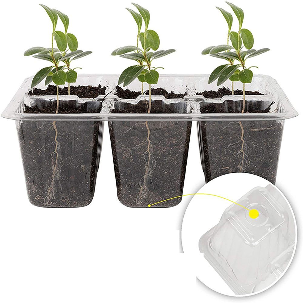 Zaad Starter Trays Met Kweekla - Seed Starter Tray recensie en prijs