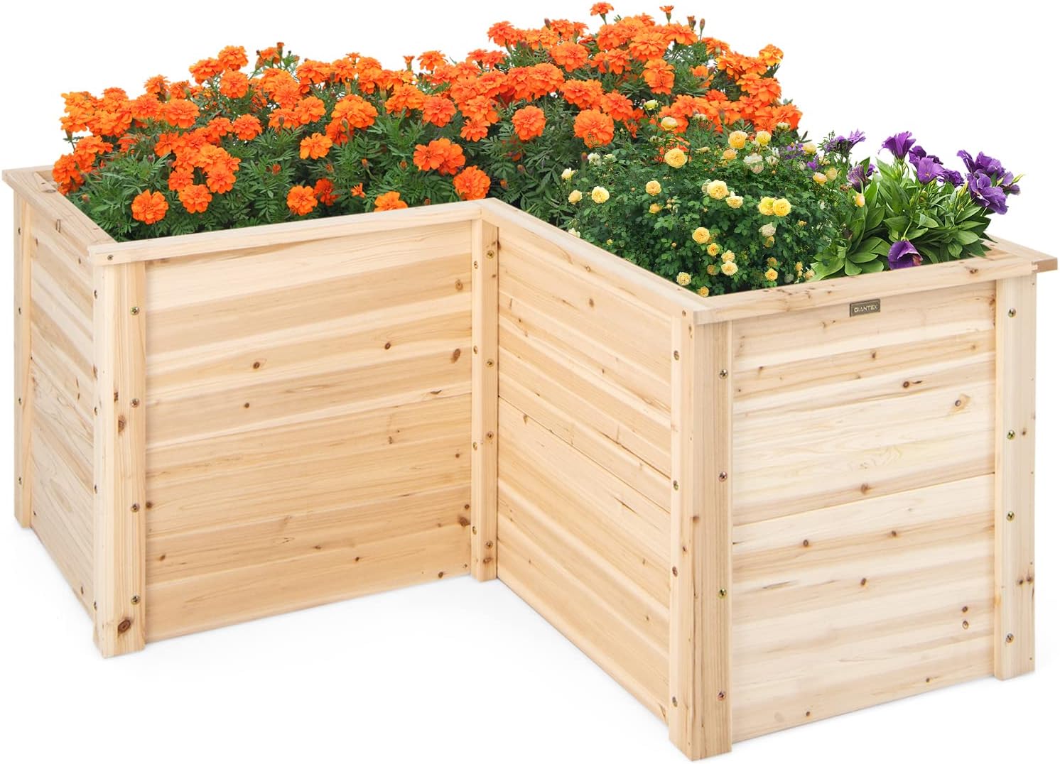 Buiten houten verhoogd tuinbed - Raised Garden Bed recensie en prijs