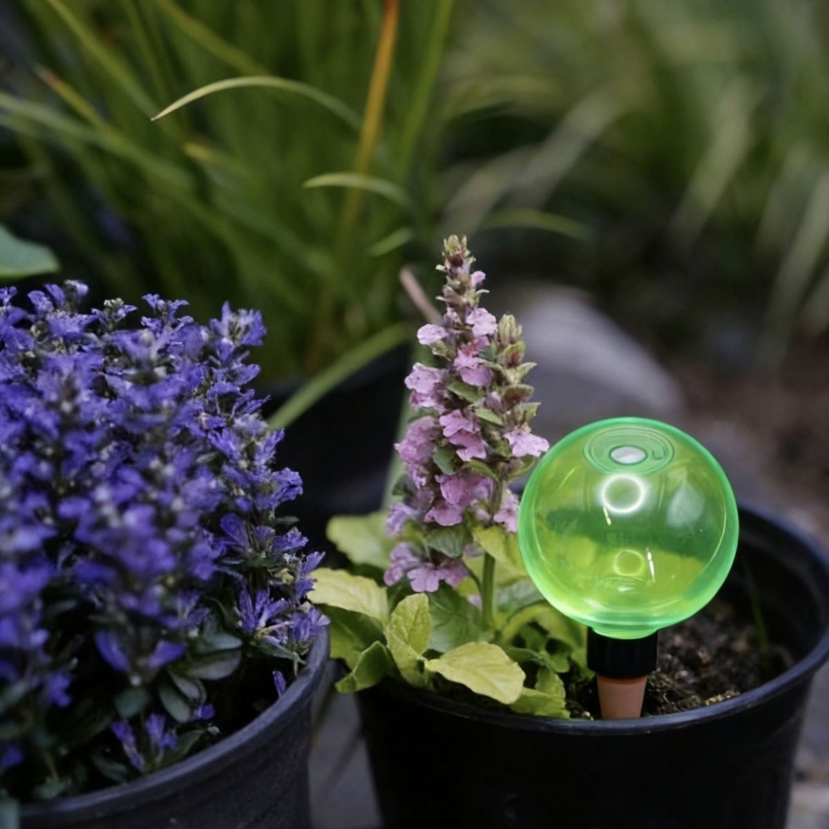 3 stuks grote planten zelfwate - Self Watering Planter recensie en prijs