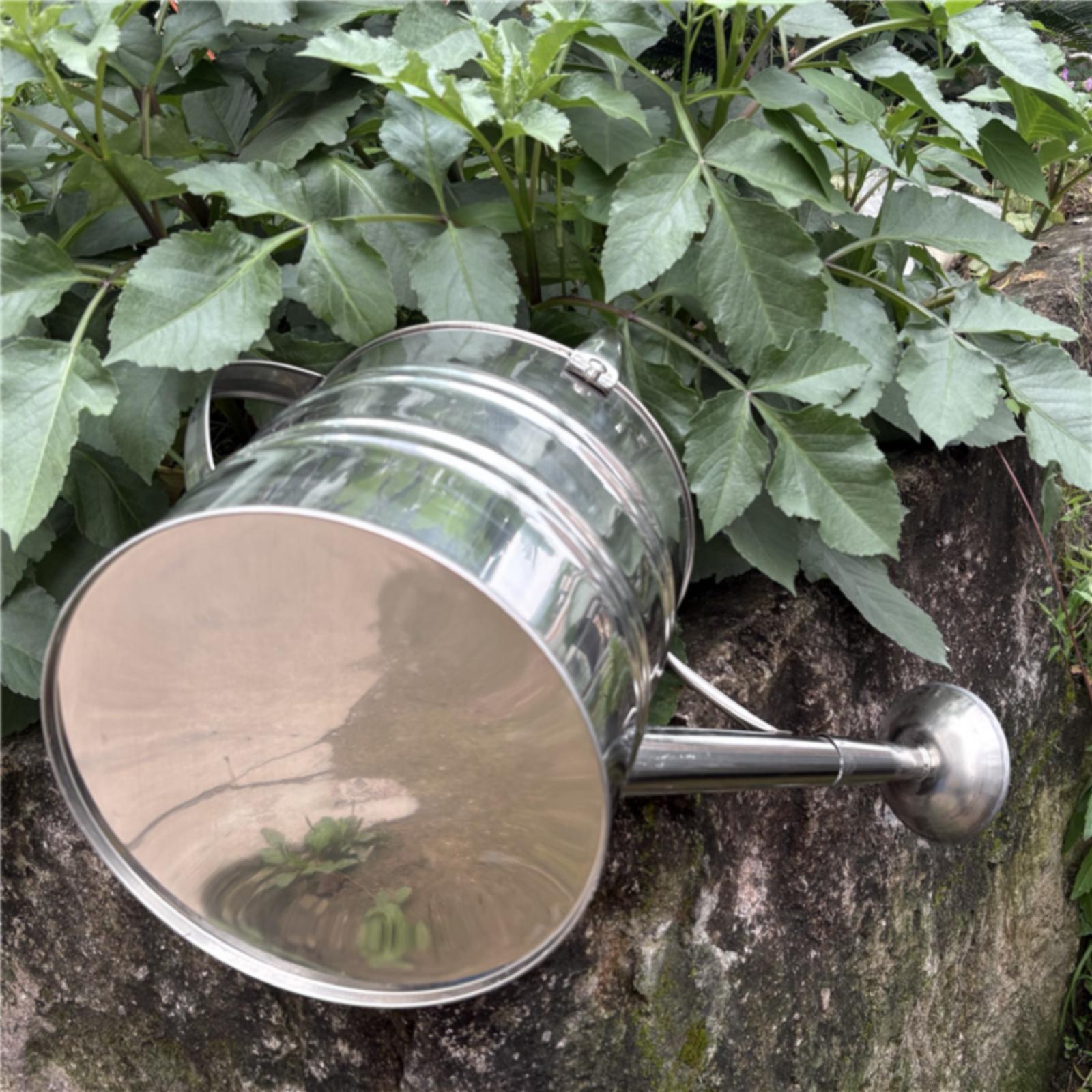 Tuinbloemen gieter van roestvr - Watering Can recensie en prijs