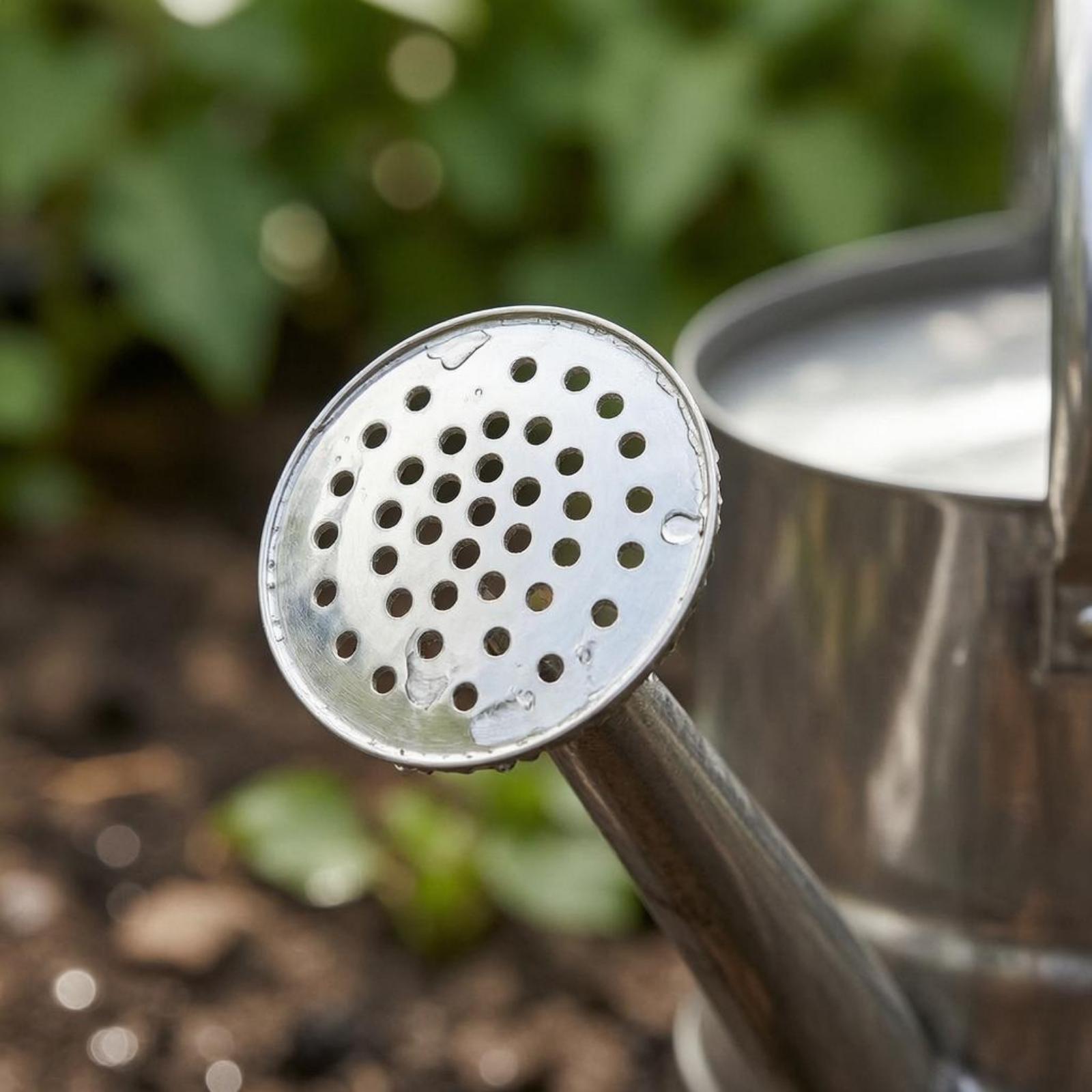 Tuinbloemen gieter van roestvr - Watering Can recensie en prijs