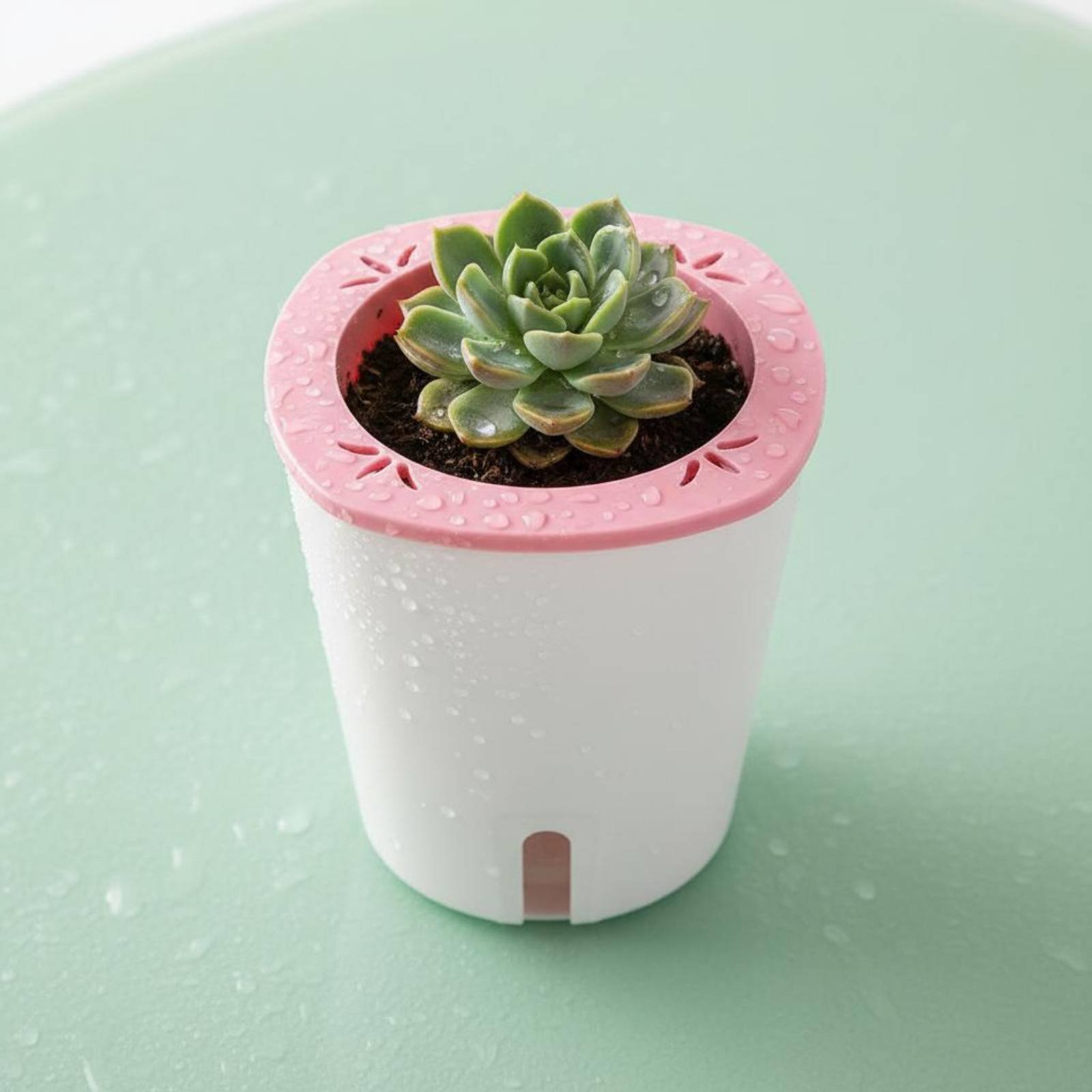 Zelfwatergevende plantenbak Gr - Self Watering Planter recensie en prijs