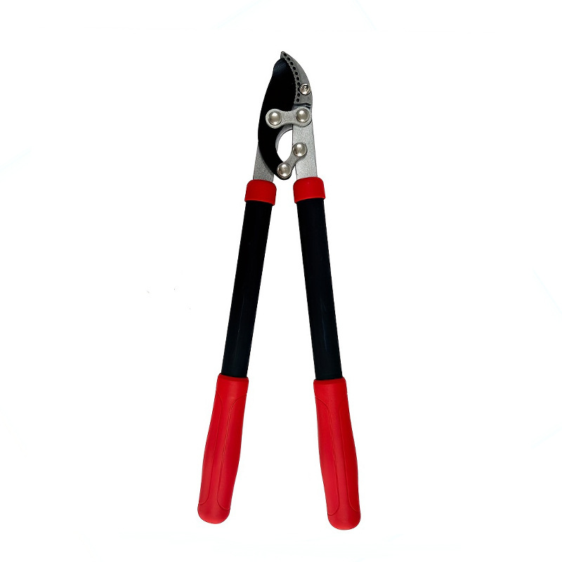 Robuuste tuinschaar voor het s - Pruning Shears recensie en prijs