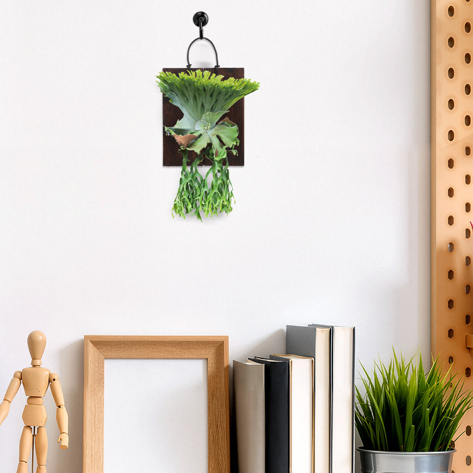 Montageplank voor de Staghorn- - Vertical Planter recensie en prijs